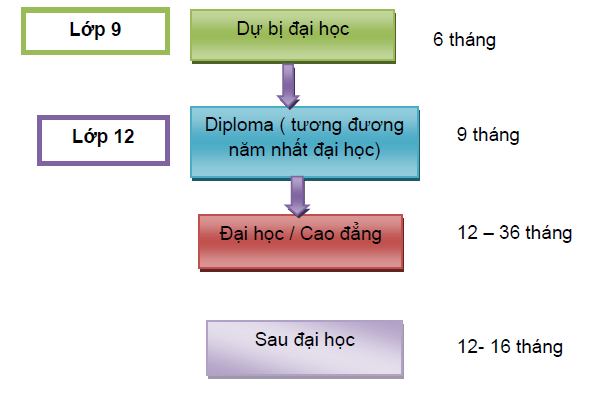 lộ trình học PSB